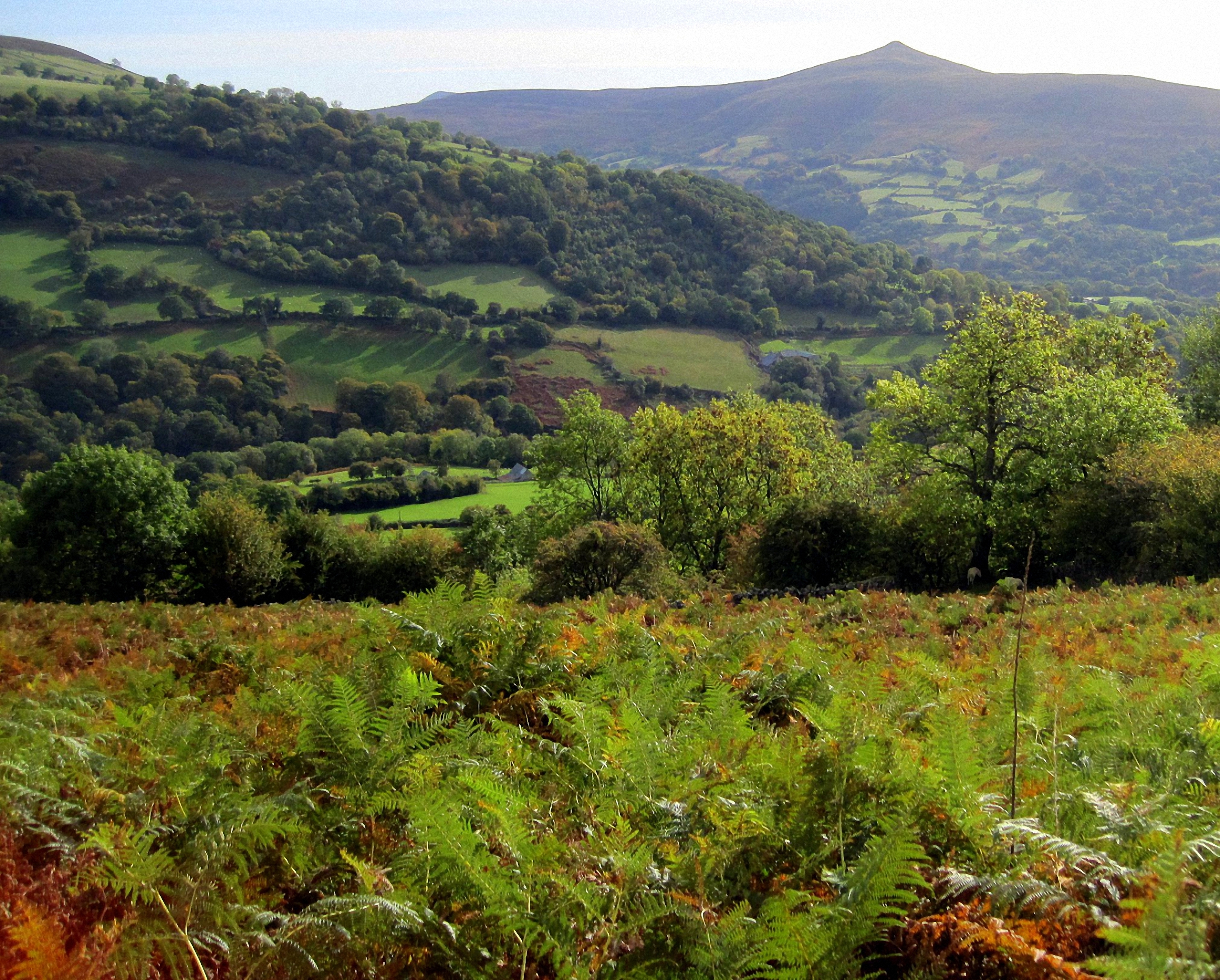 Looking towards the Sugarloaf, Photo by Marian Parsons